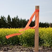 Greenes Fence 3 Ft. Wooden Garden and Sign Post Stakes (50-Pack)