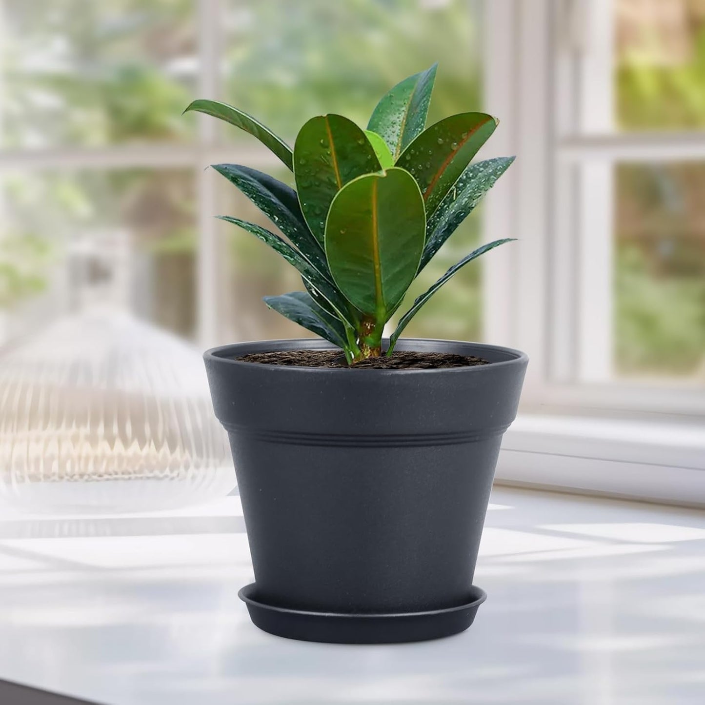 4 inch Small Plastic Nursery Pots, Seedling Pots - 16 Pack Plant Pots for Indoor & Outdoor Plants, Decorative Flower Pots with Drainage Holes and Saucers, Black