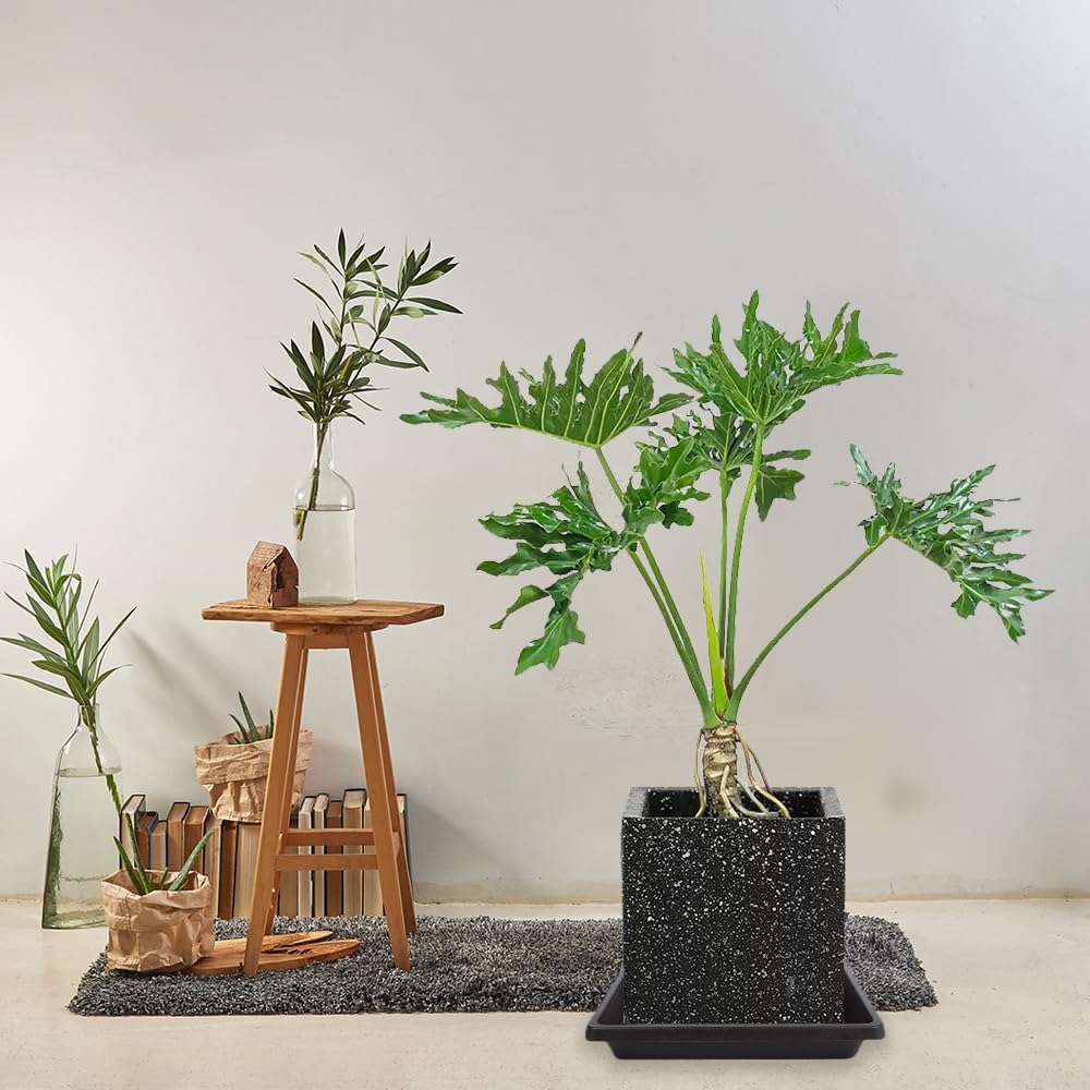 16 Inch 2 Pack Square Plant Saucer, Plant Saucers for Indoors, Large Heavy Duty Plastic Flower Plant Trays for Pots, Under Plant Water Catcher Tray for Potted Plants Outdoors (16"-Black)