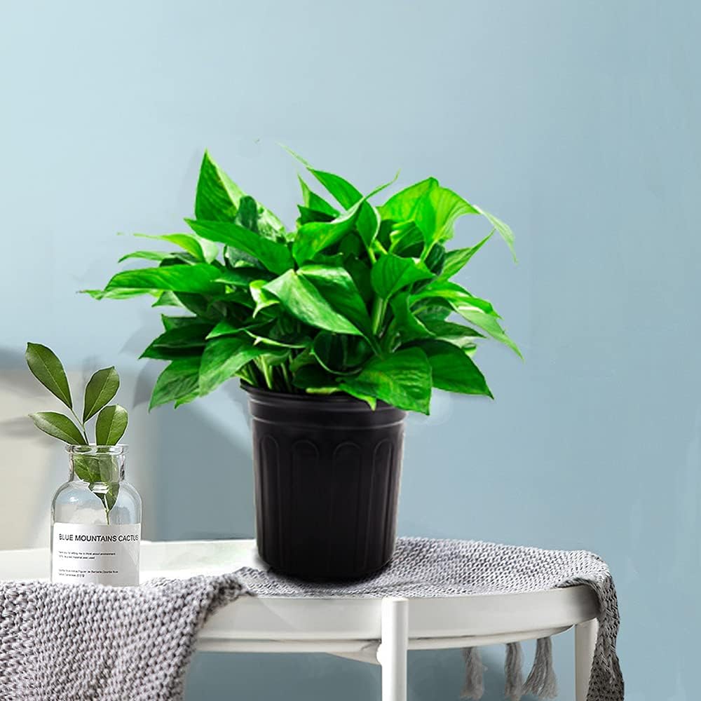 50-Pack 1 Gallon Flexible Flower Plant Nursery Pots, Thickened Soft Plastic Seed Starting Container for Succulents, Seedlings, Cuttings, Transplanting,(Black)