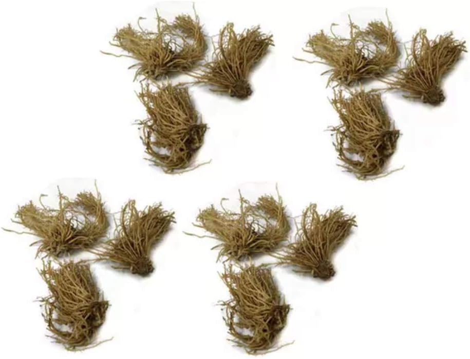 Fantastic Deal - 12 Bare Roots Hosta Plants - Mixed Heart-Shaped Hosta - Rich Green Foliage, Low Maintenance, Heart Shaped Leaves - Indoor and Outdoor