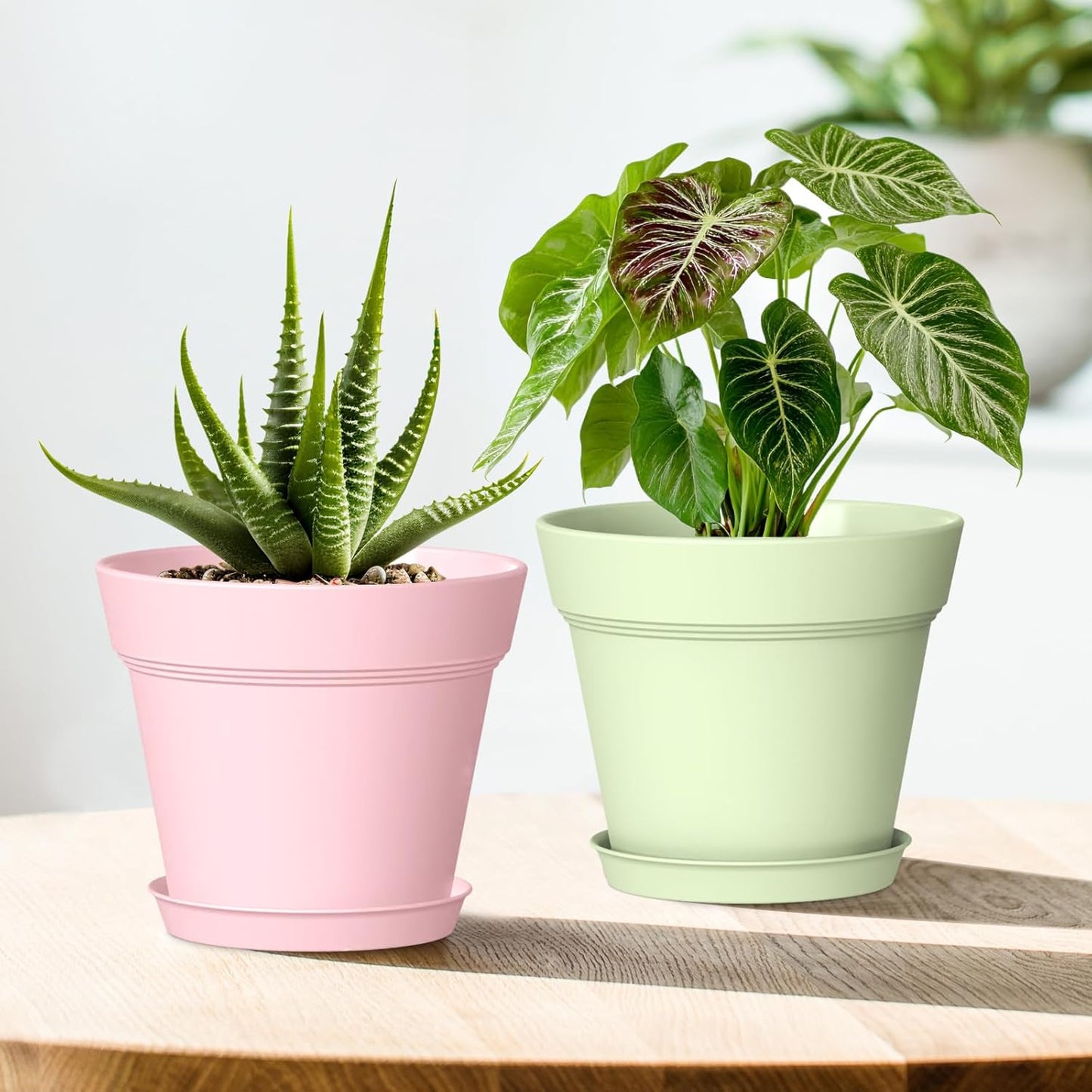 6 Inch Thick Plastic Plant Pots with Drainage Holes and Trays – 6 Pack Nursery Pots for Indoor & Outdoor House Plants, Seedling Starter Planters for Garden Flowers, Colorful