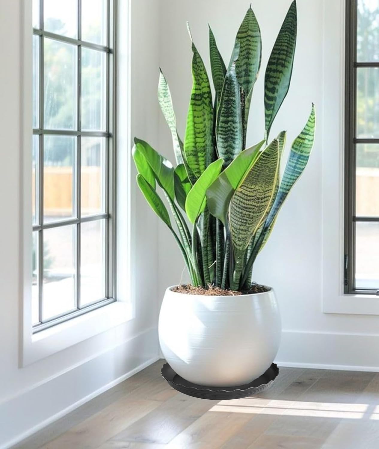 6 Pack Plant Saucer 8 inch, Heavy Duty Plastic Plant Water Tray, Planter Saucers, Flower Pot Tray Water Trays for Plant Pots (Black)