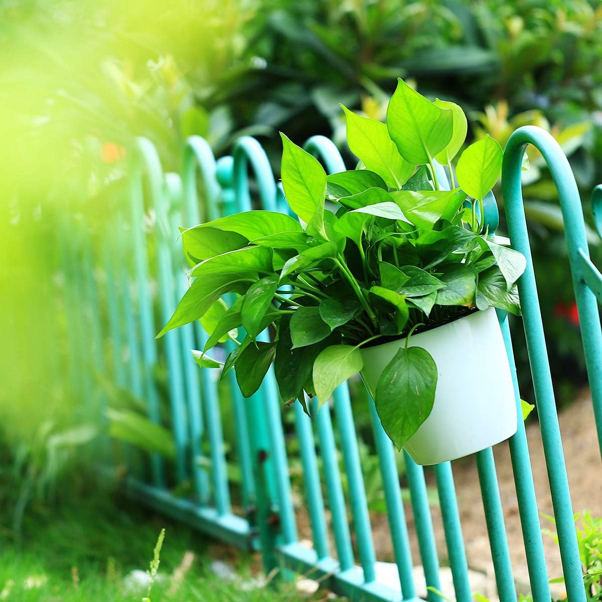 8 Packs 5" Plastic Self Watering Pots Wall Hanging Planters Wall Mounted Wicking Flower Pots for Indoor and Outdoor African Violet, Ocean Spider Plant, Orchid, White