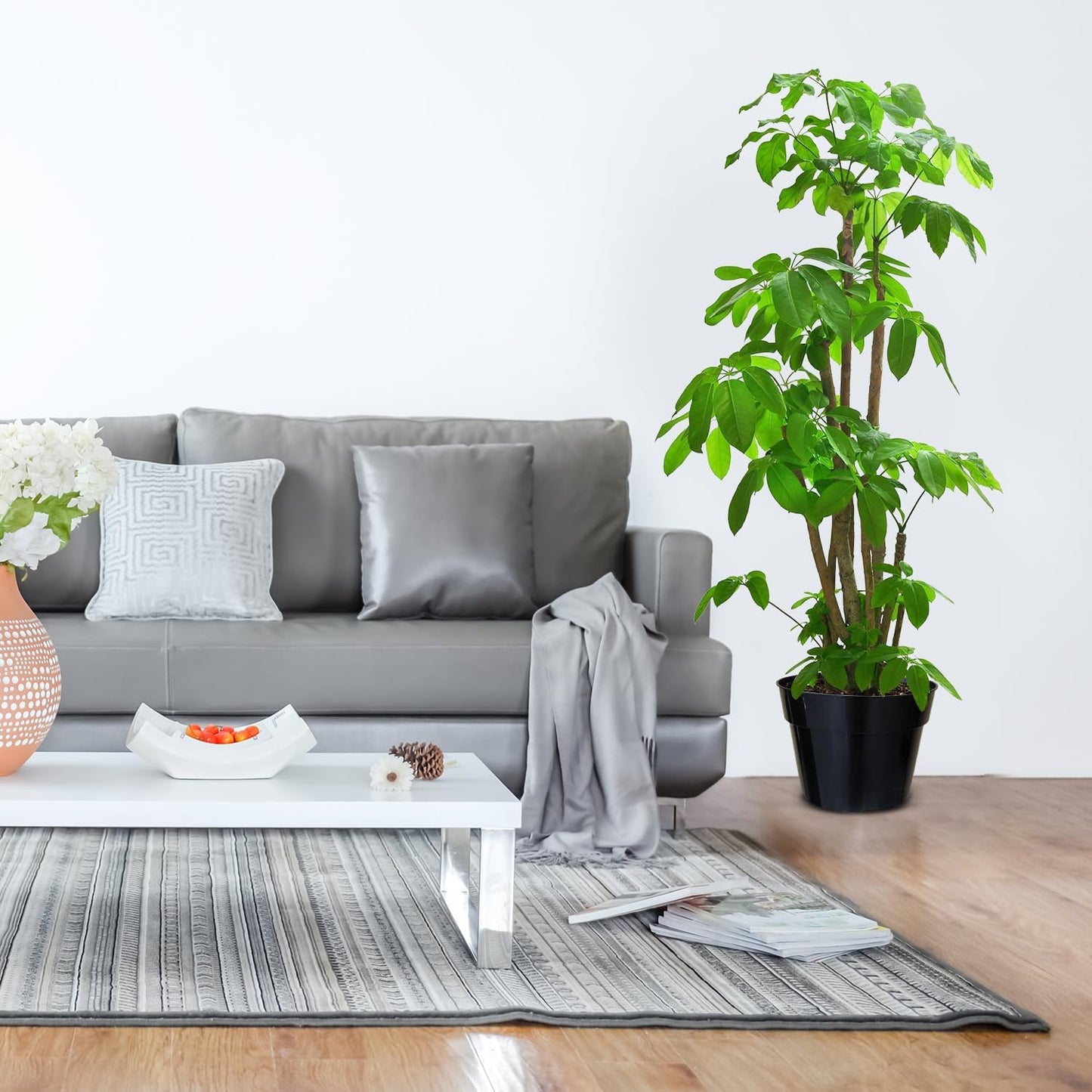 10 Inch Plastic Nursery Pots for Plants 10 Pack Plant Pots with Drainage Holes 2 Gallon Nursery Pots Perfect for Indoor Outdoor Plants Such as Herbs, Strwaberrys and Flowers, Black