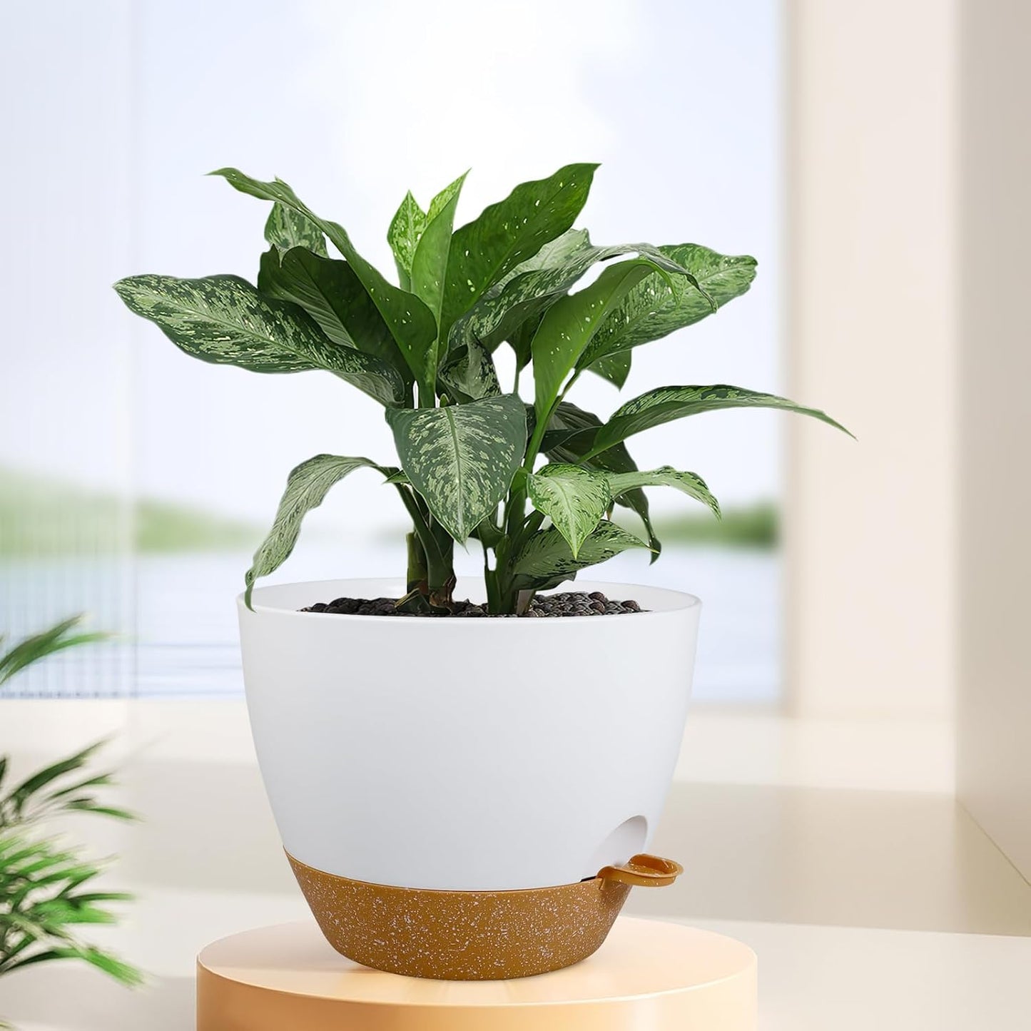 12 inch Large Self Watering Pots for Indoor Outdoor Plants, Plant Pots with Mesh Drainage Holes for Garden House Plants, Plastic Planters with Reservoir for Flower Plants, White with Brown