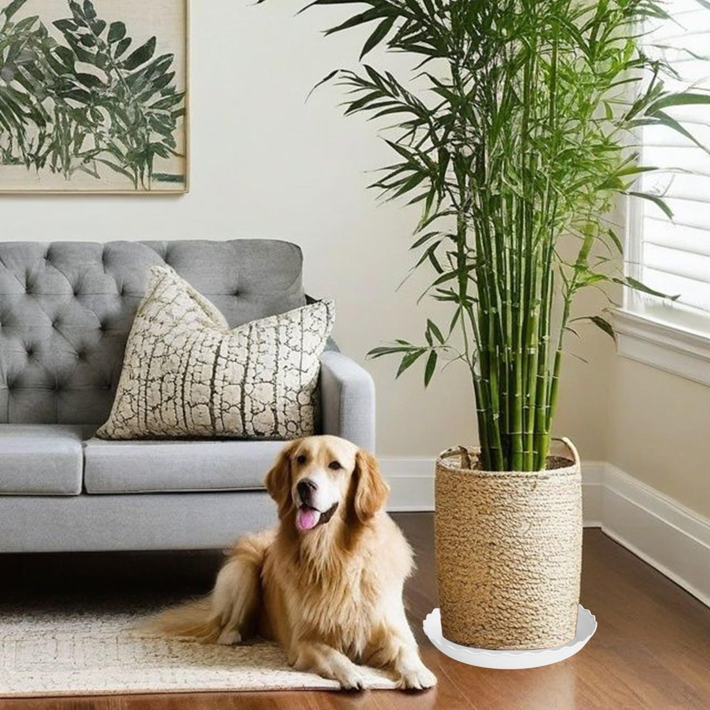 6 Pack Plant Saucer, 6 8 10 12 14 16 inch Plant Trays for Pots, Heavy Duty Plant Saucer for Indoors no Holes, Plastic Plant Saucer for Planter (6", White)