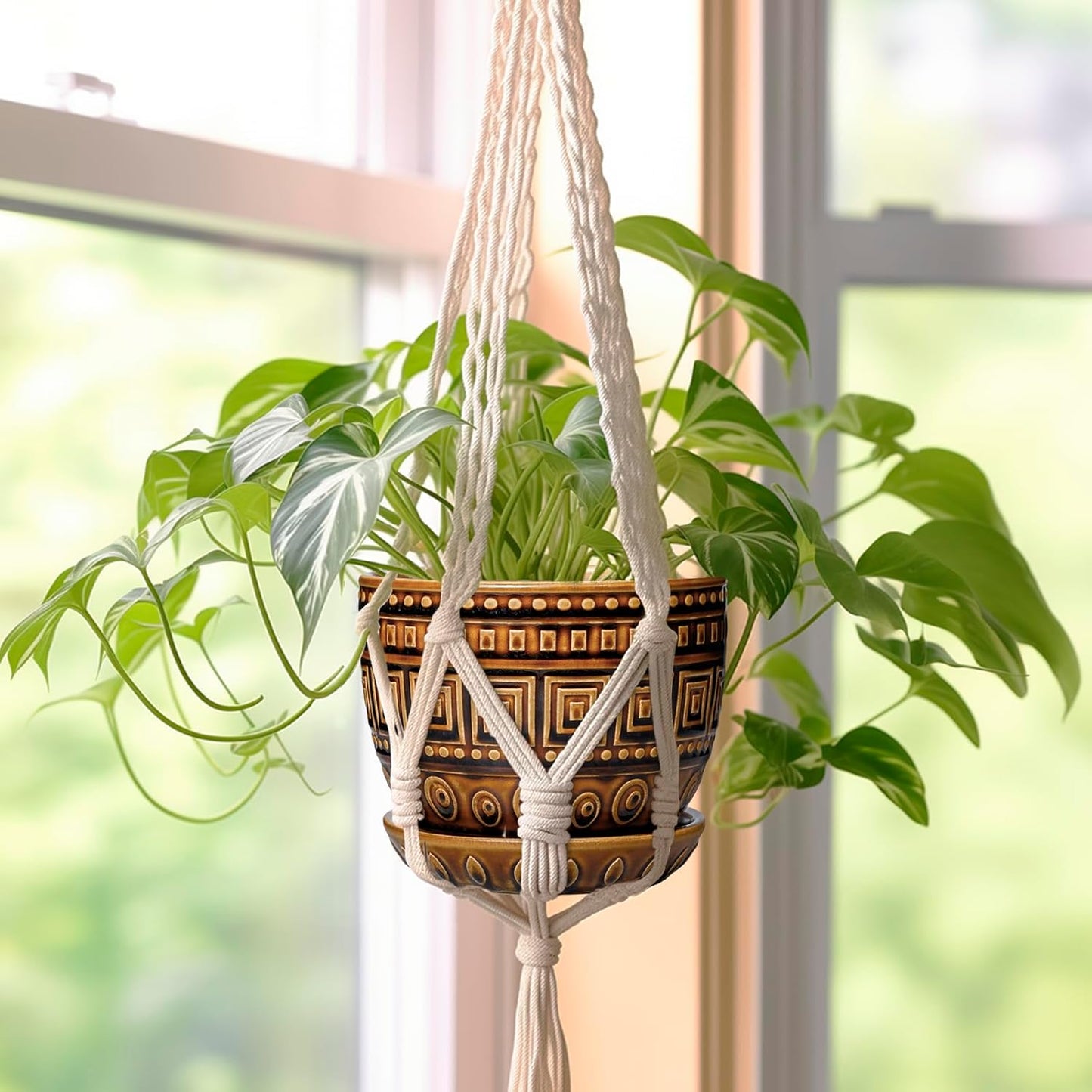 G EPGardening Succulent Pot 5.5 Inch - Ceramic Plant Pot for Indoor Plants Outdoor, Round Boho Planter with Drainage Hole and Saucer, Gifts for Plant Lovers, Office Home Garden Decor, Brown