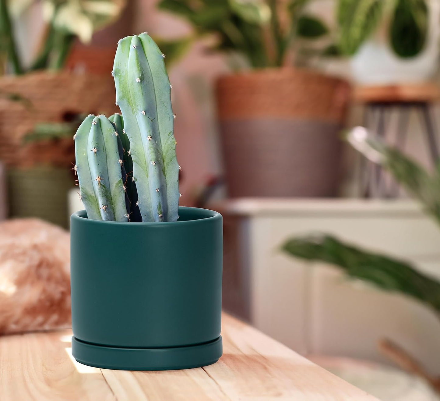 D'vine Dev Set of 4 Small Ceramic Plant Pots, 4.6 Inch Succulent Planter Pot for Plants with Drainage Hole and Saucer, Teal, 94-X-B-9