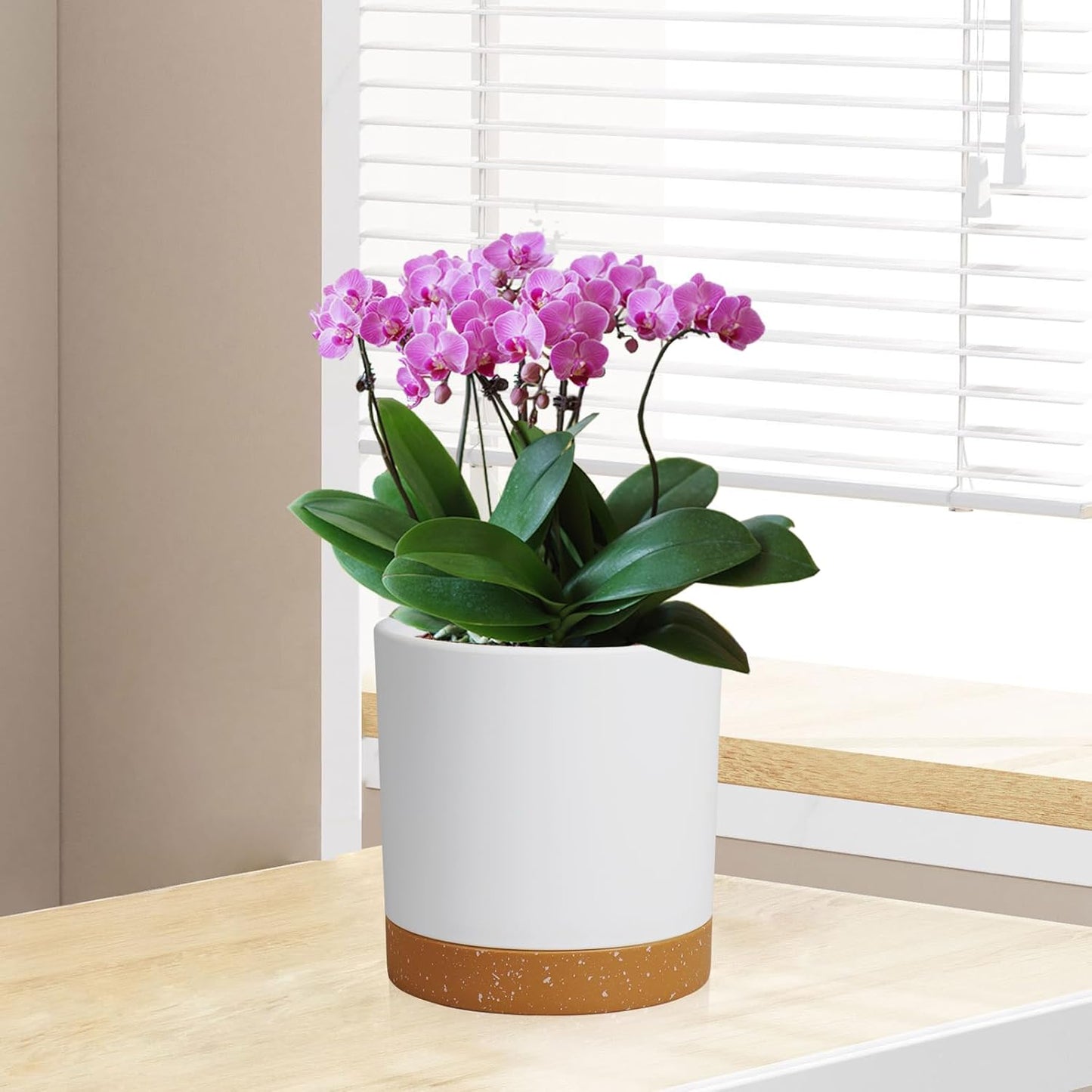 3 Pack 6/5/4 inch Cylindrical Flower Pots, Modern Small Round Plastic Plant Pots with Drainage Holes & Saucers, Clean and Refined Planter Pots for Outdoor, Indoor & Office Decor (White Brown)