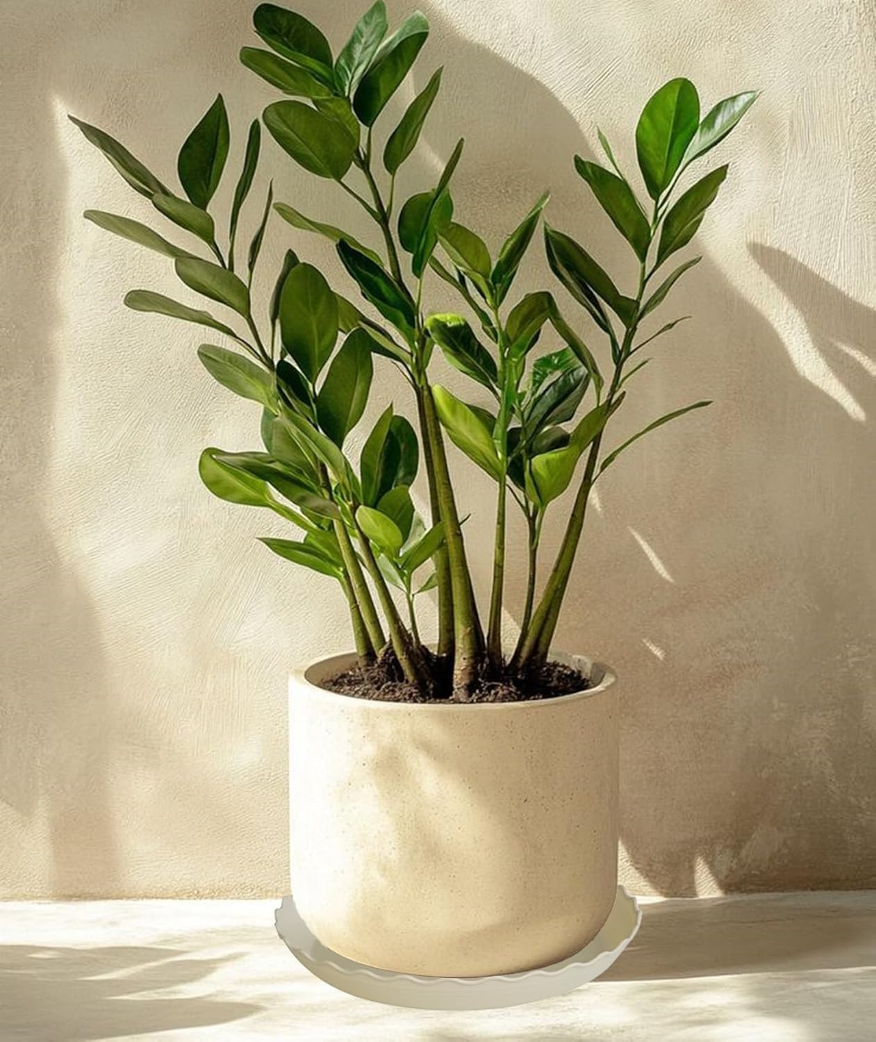 2 Pack of 14 inch Plant Saucer Plant Tray, Plastic Plant Saucer, Heavy Duty Plant Tray for Pots, Plant Saucers for Indoors Planter, Garden Water Plate Bowls for Gallon Grow Bags (Beige)