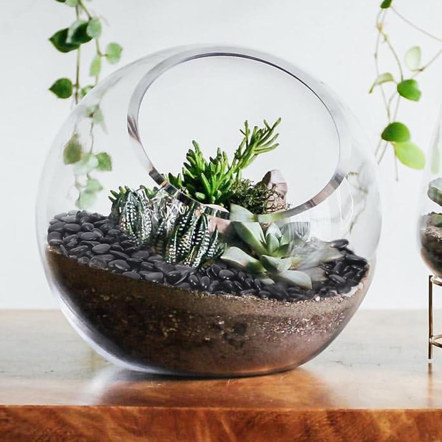 2.2LB Black Pebbles for Indoor Plants, Vases, Succulent, 3/8 Inch Small Black Rocks for Plants, Polished & Decorative