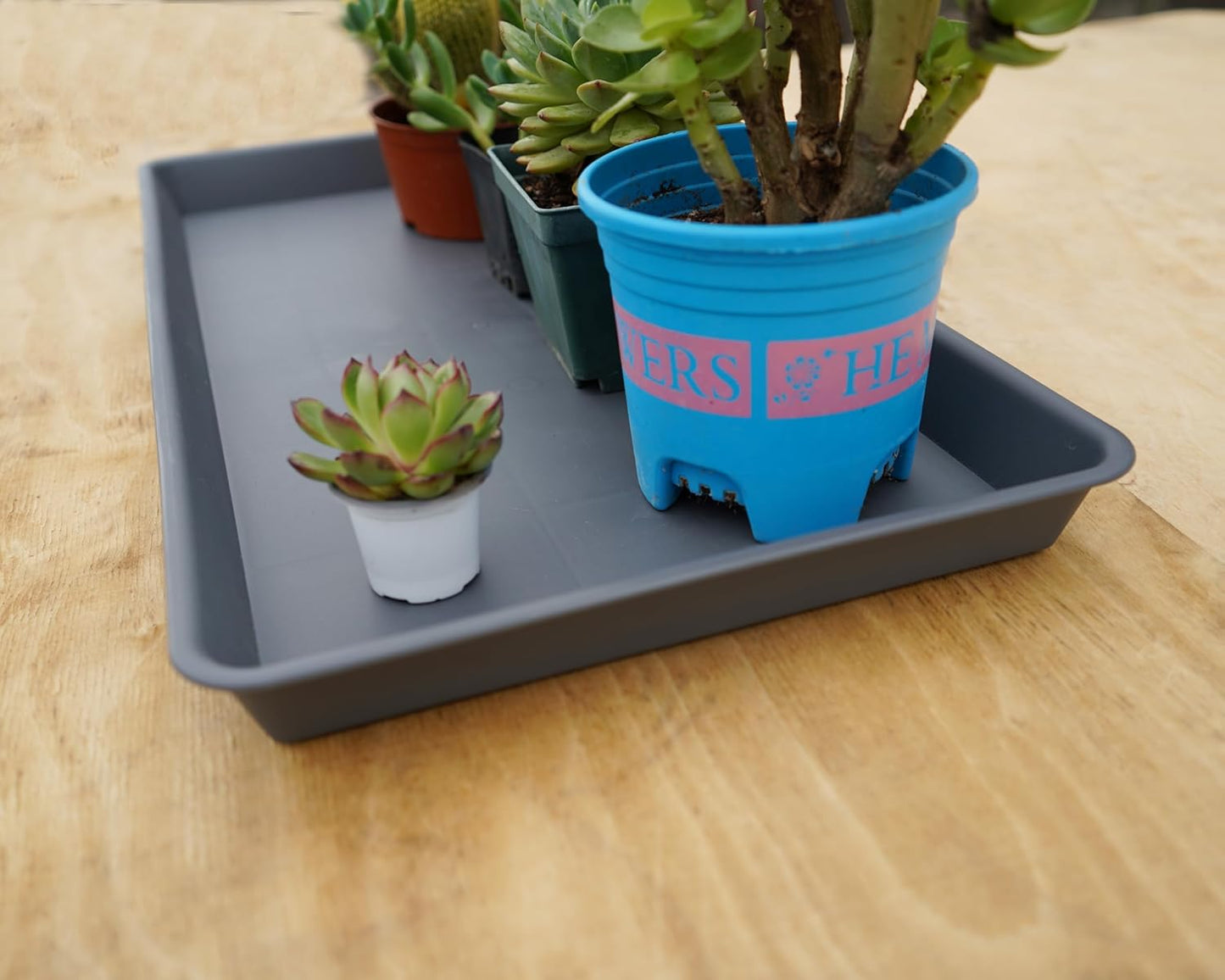 2 Pack Plant Saucer Tray Rectangular, Plant Growing Nursery Trays, Heavy Sturdy Seed Starting Trays, Plant Starter Trays for Indoors No Holes, Seed Starter Growing Tray (17.5"x10.6", Gray)