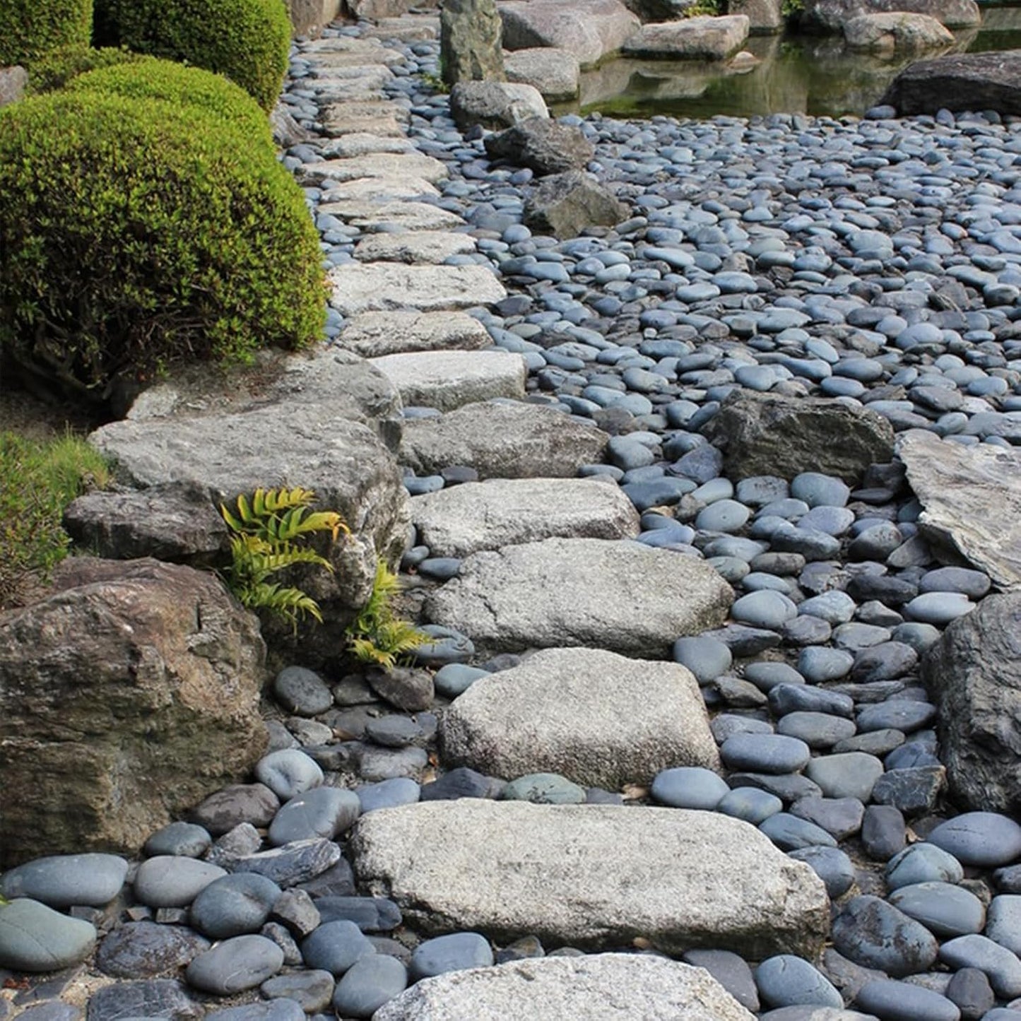 Black River Rocks for Landscaping, 2-3 Inch Natural River Rocks for Garden Beds, Potted Plants, Fish Tanks, DIY Pathway and Backyard Accent, Stones for Crafts, Walkways,(20lbs Bulk)