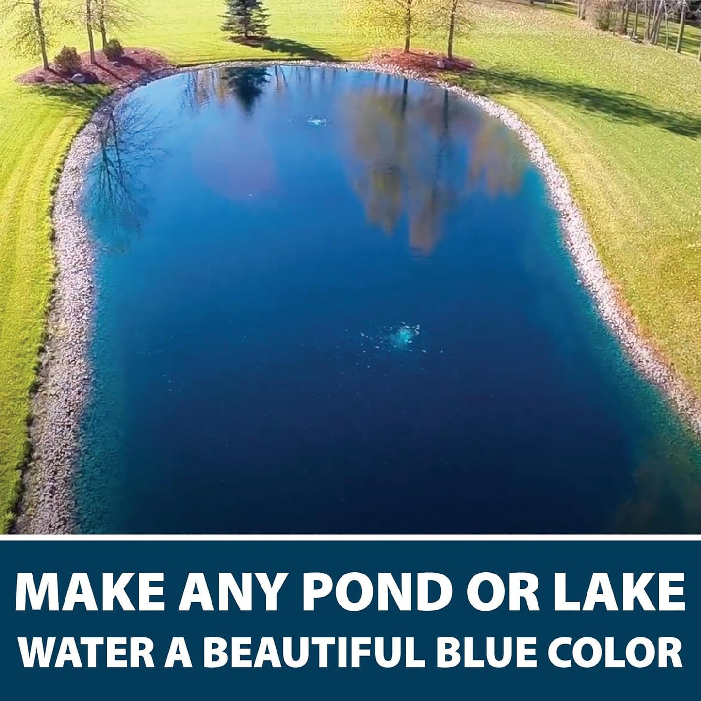 Airmax Black DyeMond Pond Dye 4X Concentrate for Outdoor Ponds & Lakes, Natural Pond Colorant & Beauty Enhancer, Block Ultraviolet Rays, Fish, Bird & Livestock Safe, Easy Liquid Application, 1 Quart
