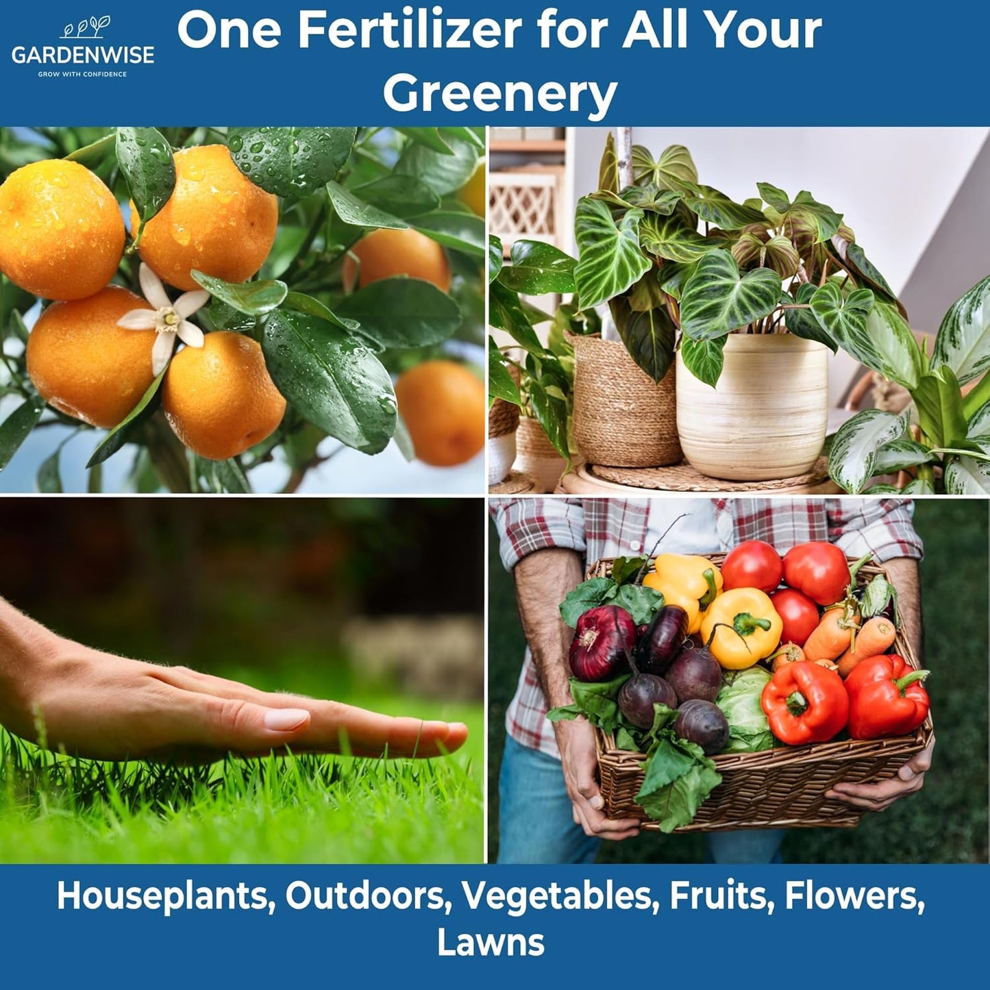 20-20-20 Water-Soluble Fertilizer – Powder for Liquid Plant Food for Indoor & Outdoor Plants, Orchids, Vegetables, Lawns, Flowers – 20 20 20 Fertilizer 5 Quarts (10 lbs)