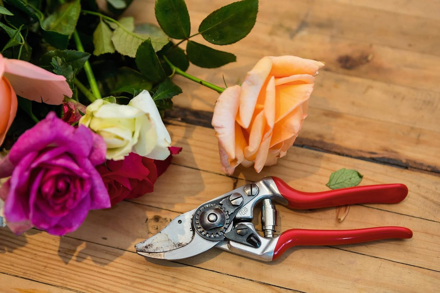 Felco F 14 Pruning Shears – 7.1" Garden Clippers for Small Hands with Bypass & Anvil Blades | Hand Pruners for Gardening | Garden Tool Cutter with Forged Alloy Steel Build, Lightweight Swiss Design