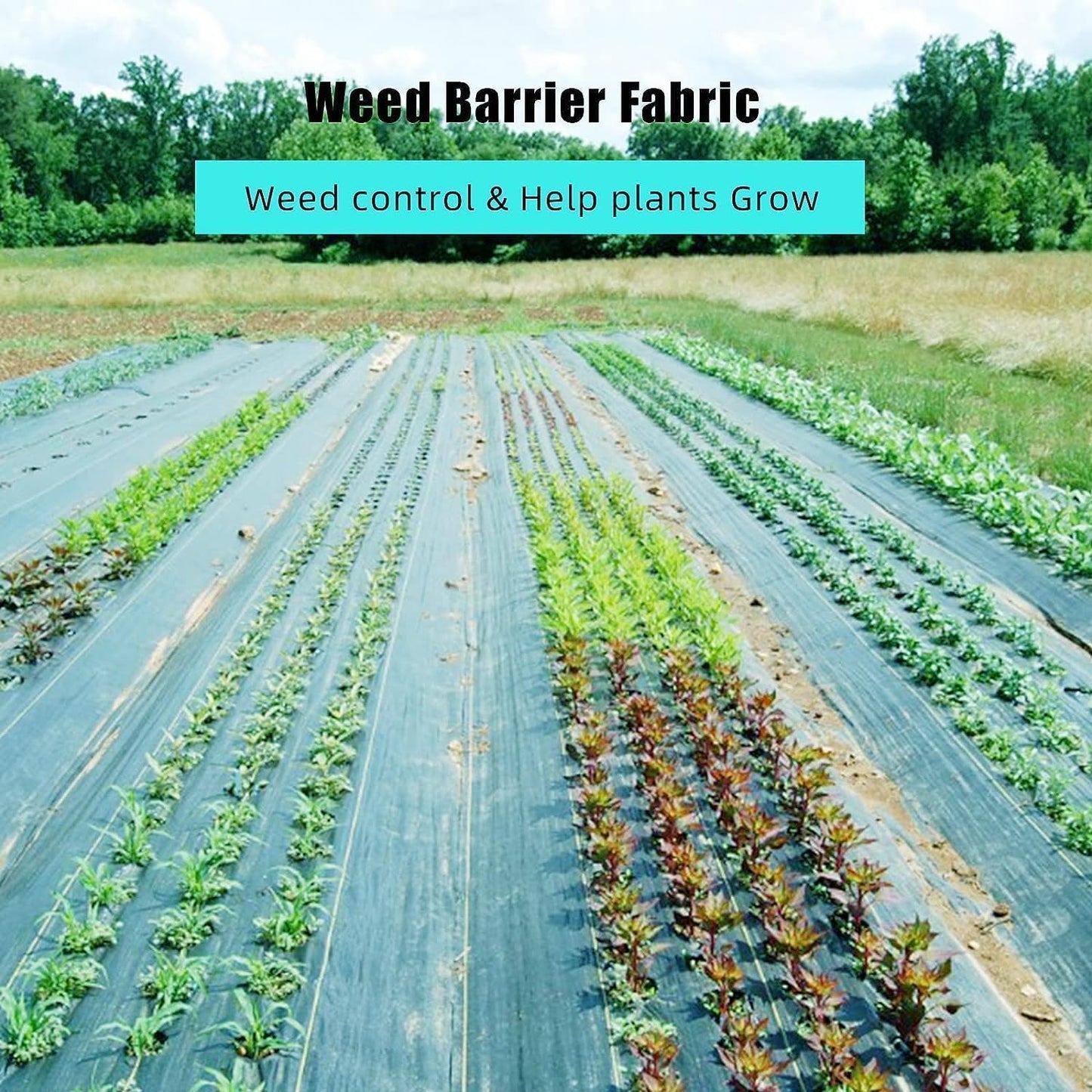 6.5ft x 300ft Premium Weed Barrier Landscape Fabric, 3oz Heavy Duty, Weed Control Fabric, High Permeability Good for Flower Bed, Driveway Fabric Ground Cover