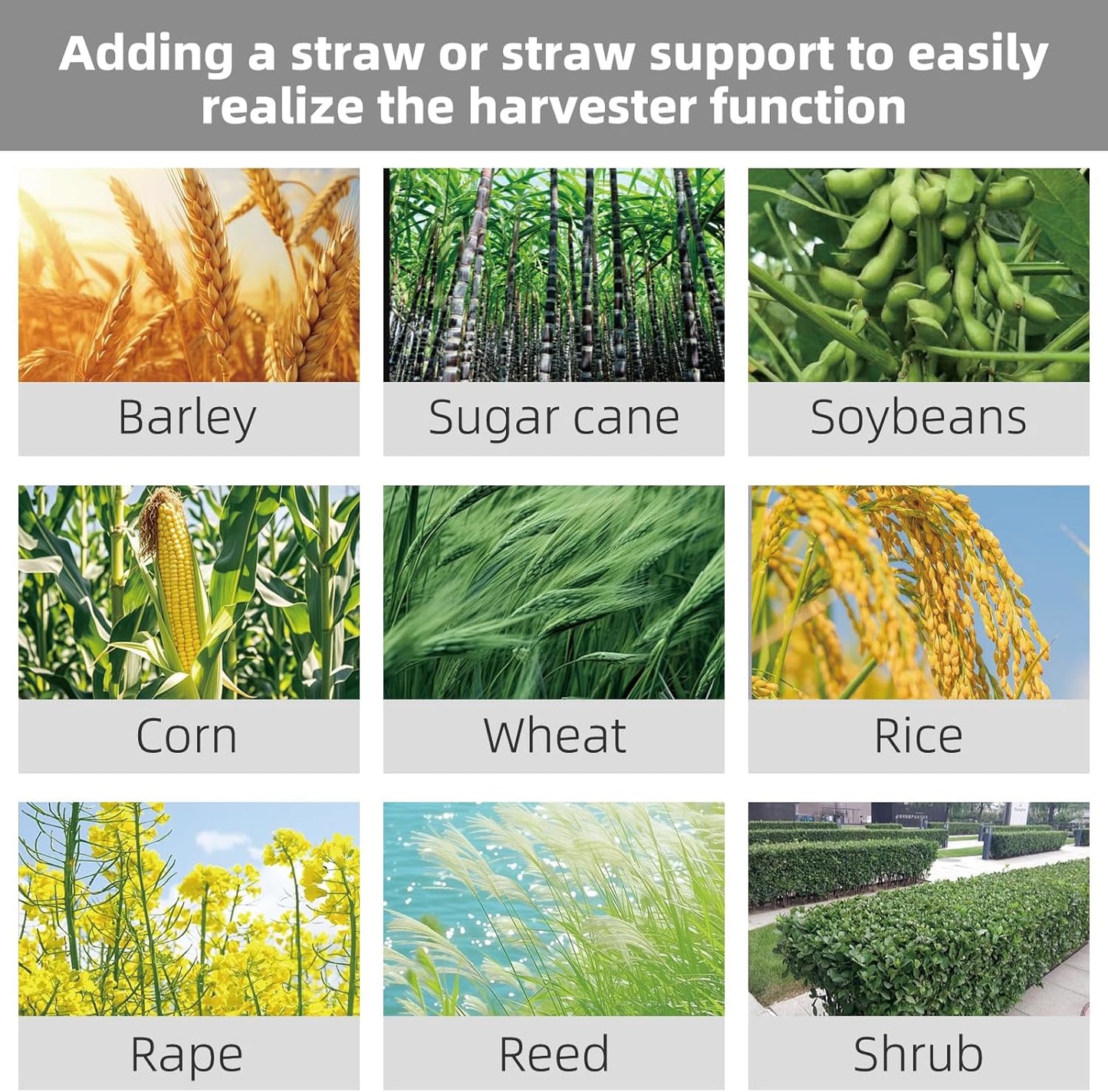 Gas Brush Cutter 2 Cycle Multifunctional Pole Saw Hedge Trimmer Attachments EPA Compliant Aircooled Shoulder Strap Lawn Garden Tool System Yard Farm