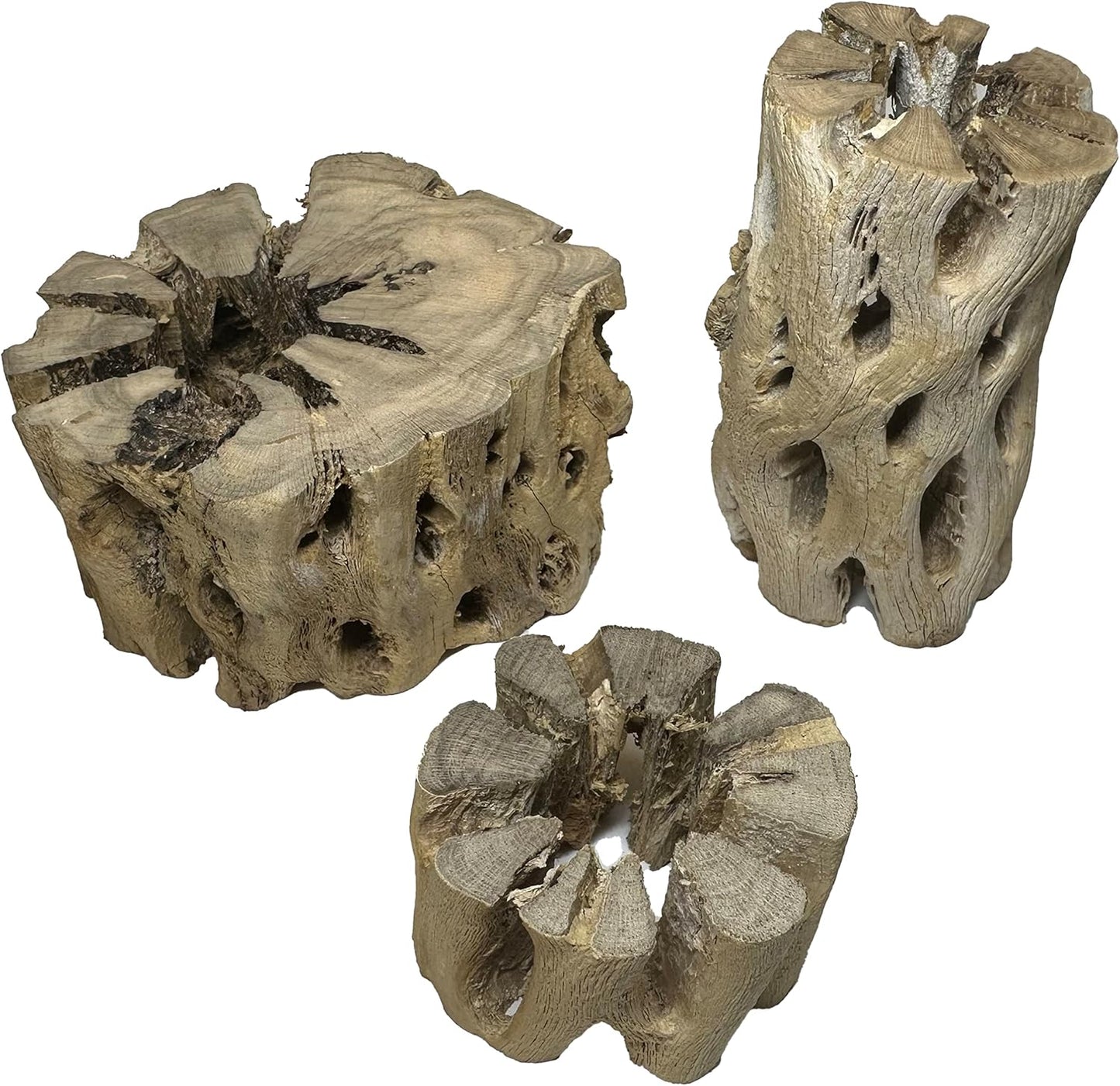3 Natural Cholla Wood Air Plant Display Holders Tiered 1, 2 & 3 inch Individually Unique Round Decorative Stands
