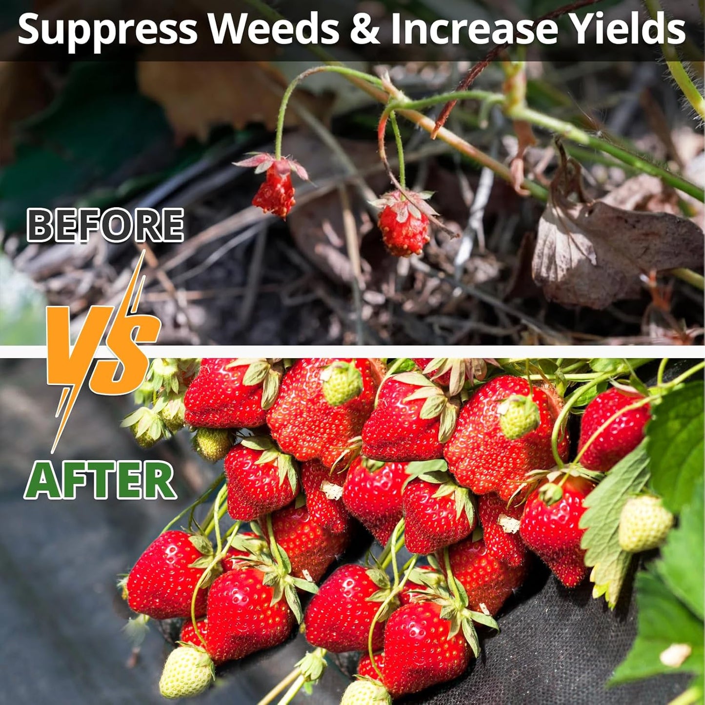 GOTGELIF 4×300FT Heavy Duty Weed Barrier, 3.2oz Premium Garden Weed Barrier Fabric, Ground Cover for Gardening, Farming, Landscape