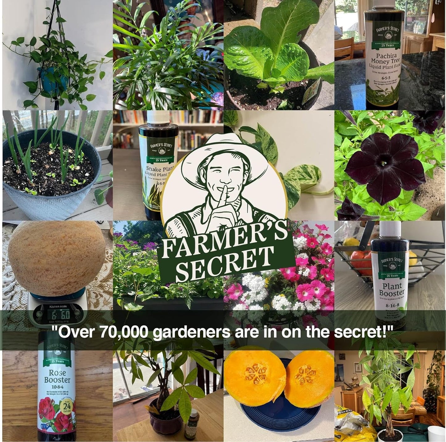 Farmer’s Secret Soil Revitalizer (128oz) - Organic (OMRI Listed) Dirt Health Booster - Liquid Compost Soil Amendment - Activated Humic Acid - Great for Fall Application