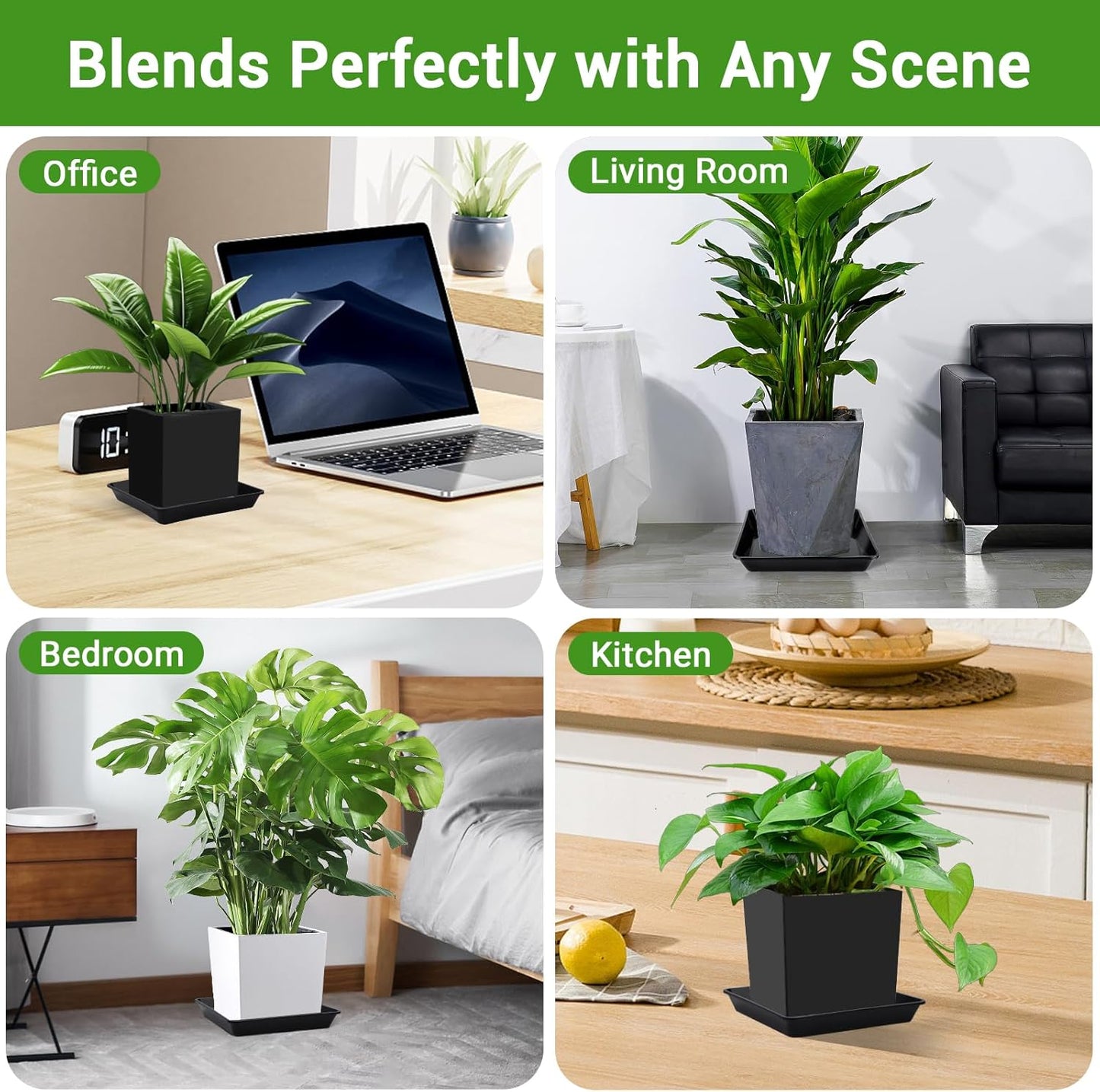 GREANER 6 Packs Square Plant Saucer, Plant Water Dray Tray, Durable Thick Plant Pot Dish for Flower Pot, Plastic Plant Tray to Catch Water for Indoor Outdoor(10 Inch, Black)