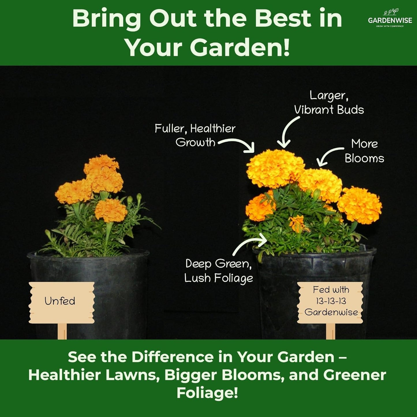 13-13-13 Slow Release Granular Fertilizer β All Purpose Plant Food 13 13 13 for Outdoor Grass, Vegetables, Roses, Flowers, Shrubs, Trees. Lawns, Gardens, Potted Plants (3 quarts)