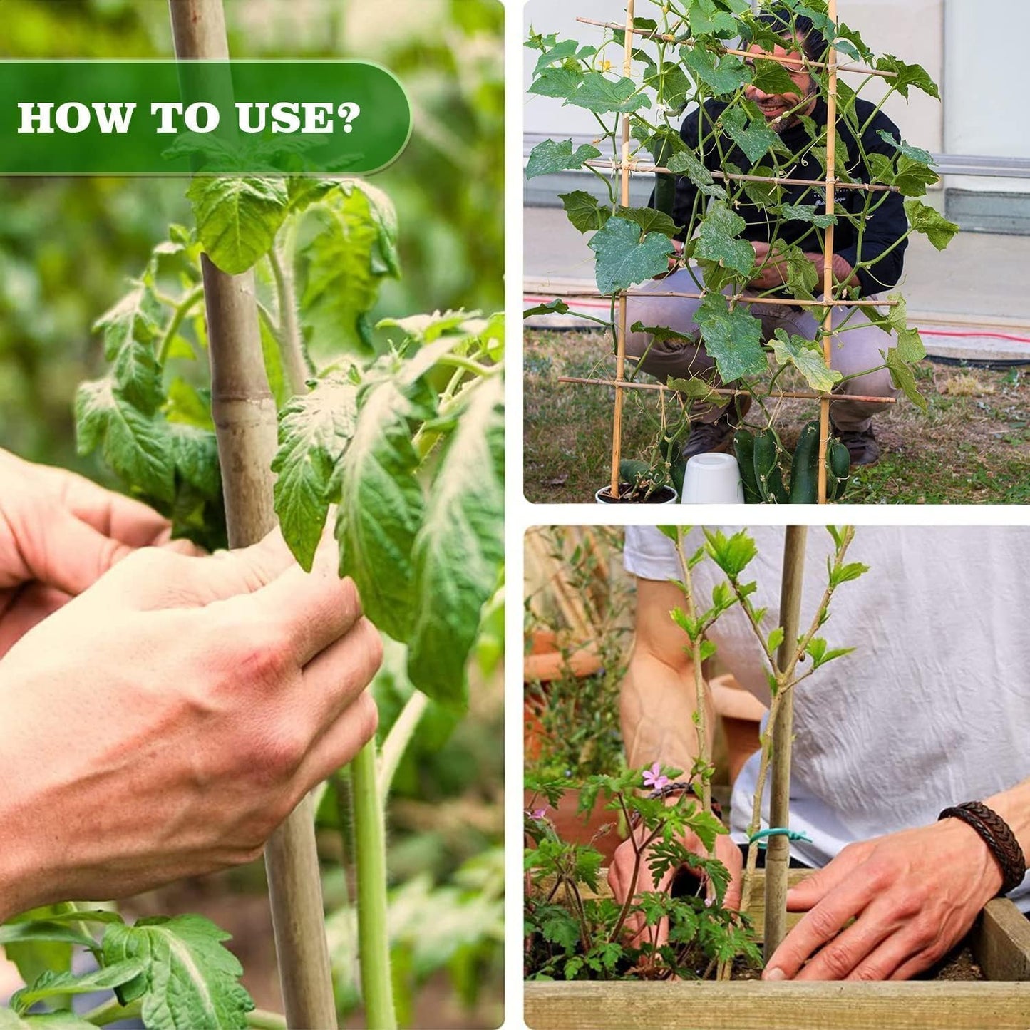 7/20" D 3 Feet Bamboo Stakes 50 Pack, Thicker Heavy-Duty Plant Stakes, Natural Garden Stakes for Bean, Tomato, Bean, Flowers,Trees Potted and Climbing Plant Support