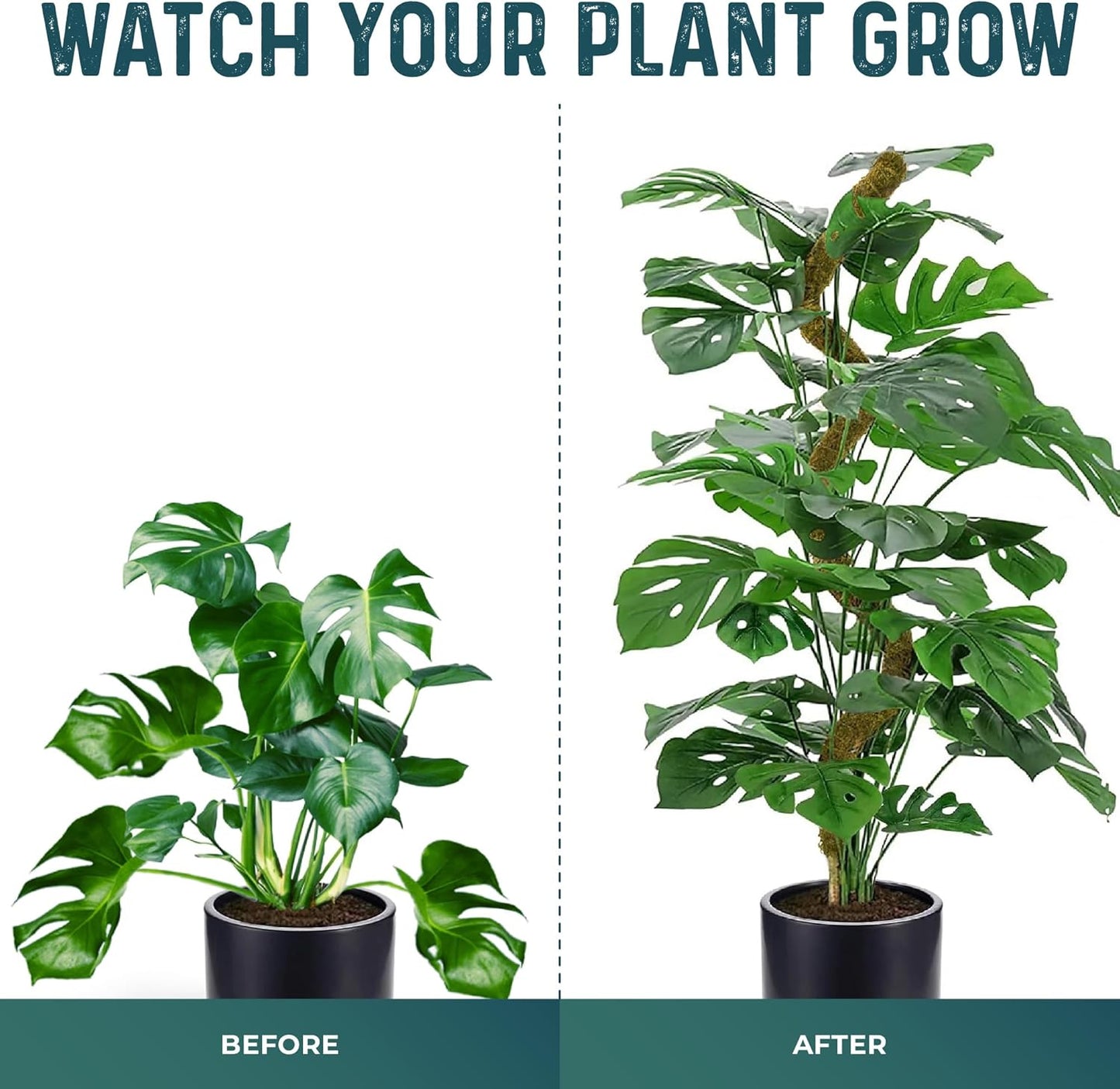 2 Pack 42'' Bendable Moss Pole Monstera Plant Support - Real Forest Moss for Climbing Indoor Plants - Stakes for Potted Climbers - Tall Sticks Indoor Trellis for Houseplants - Pot Accessories