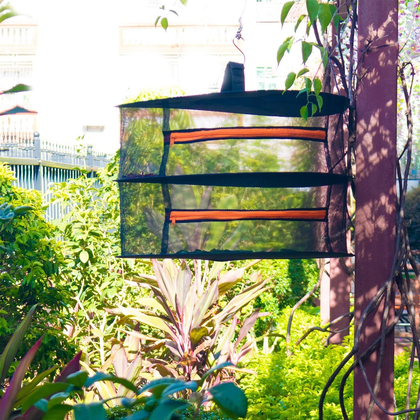 Desy & Feeci Herb Drying Rack- 2ft Diameter 2 Layer Folding Mesh Hanging Basket Dryer Net with Zippers for Seeds Flowers Buds Plants Garden Outdoor Bumper Harvest(D24xH16 inch)