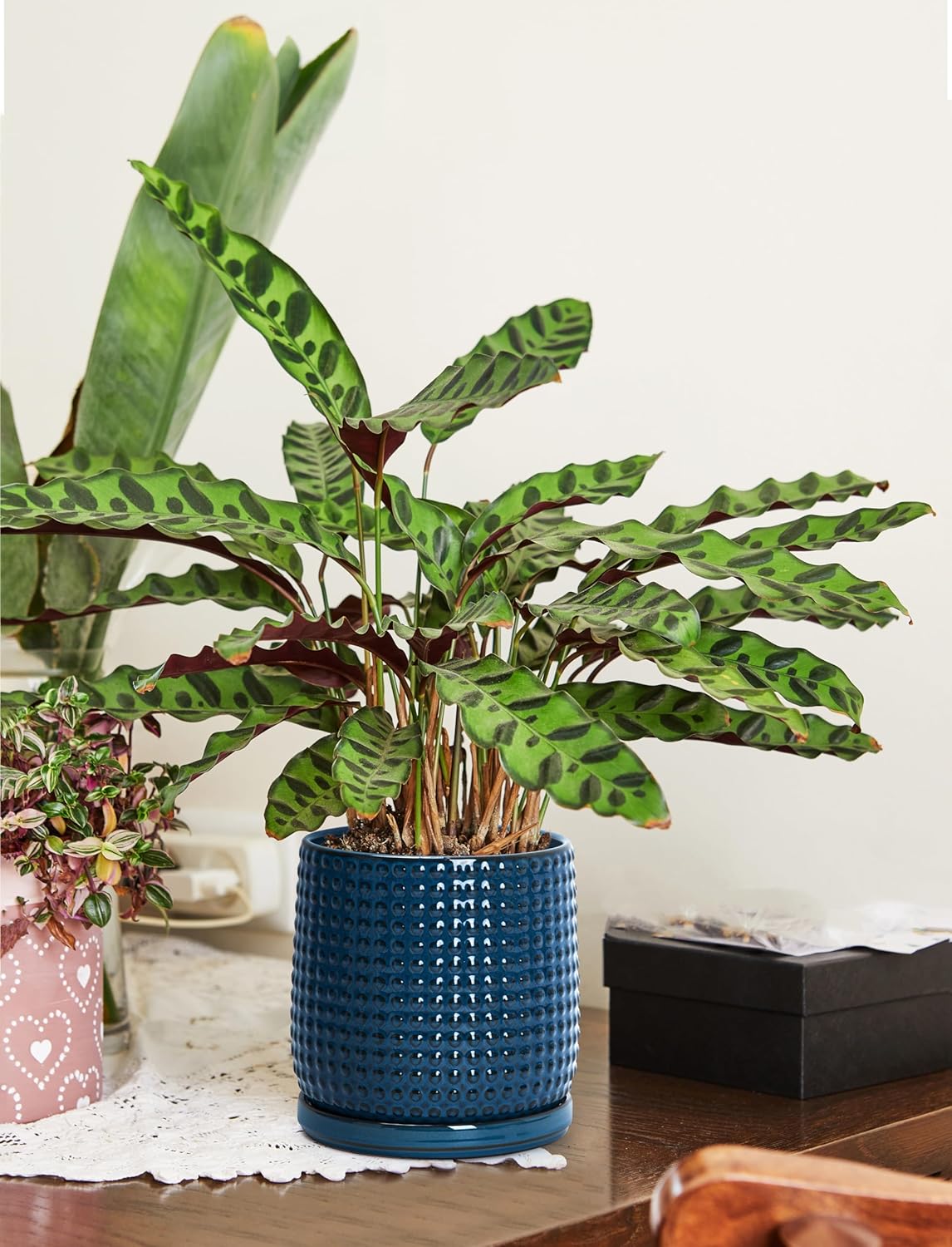 D'vine Dev Set of 2 Ceramic Plants Pots, 6 Inch Beaded Stoneware Flower Pot for Plants with Drainage Hole and Saucer, Midnight Blue, 27-E-X-3