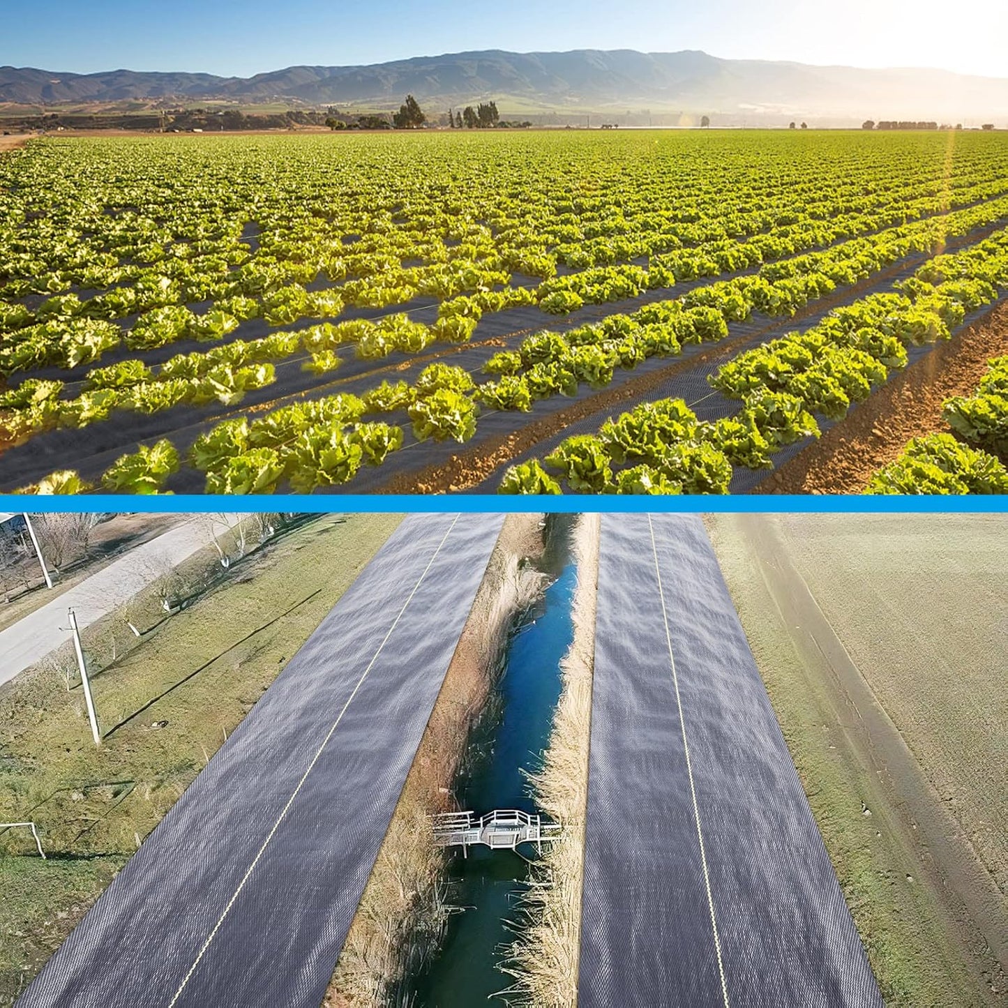 3ft x100ft Black Weed Barrier Landscape Premium Fabric-Heavy Duty Woven Ground Cloth with Superior Permeability Weed Control Convenient Design