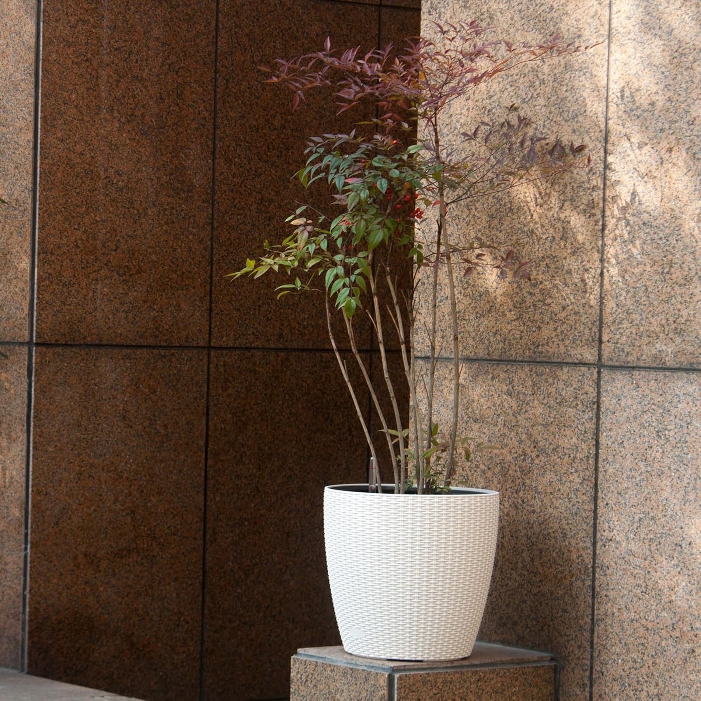 Dexceder 15x14 Rattan Self Watering Planter with Wheels Indoor Outdoor, Inner Pot Design, Thickened Large Floor Standing Flower Plant Pot with Water Level Indicator (Ivory White)