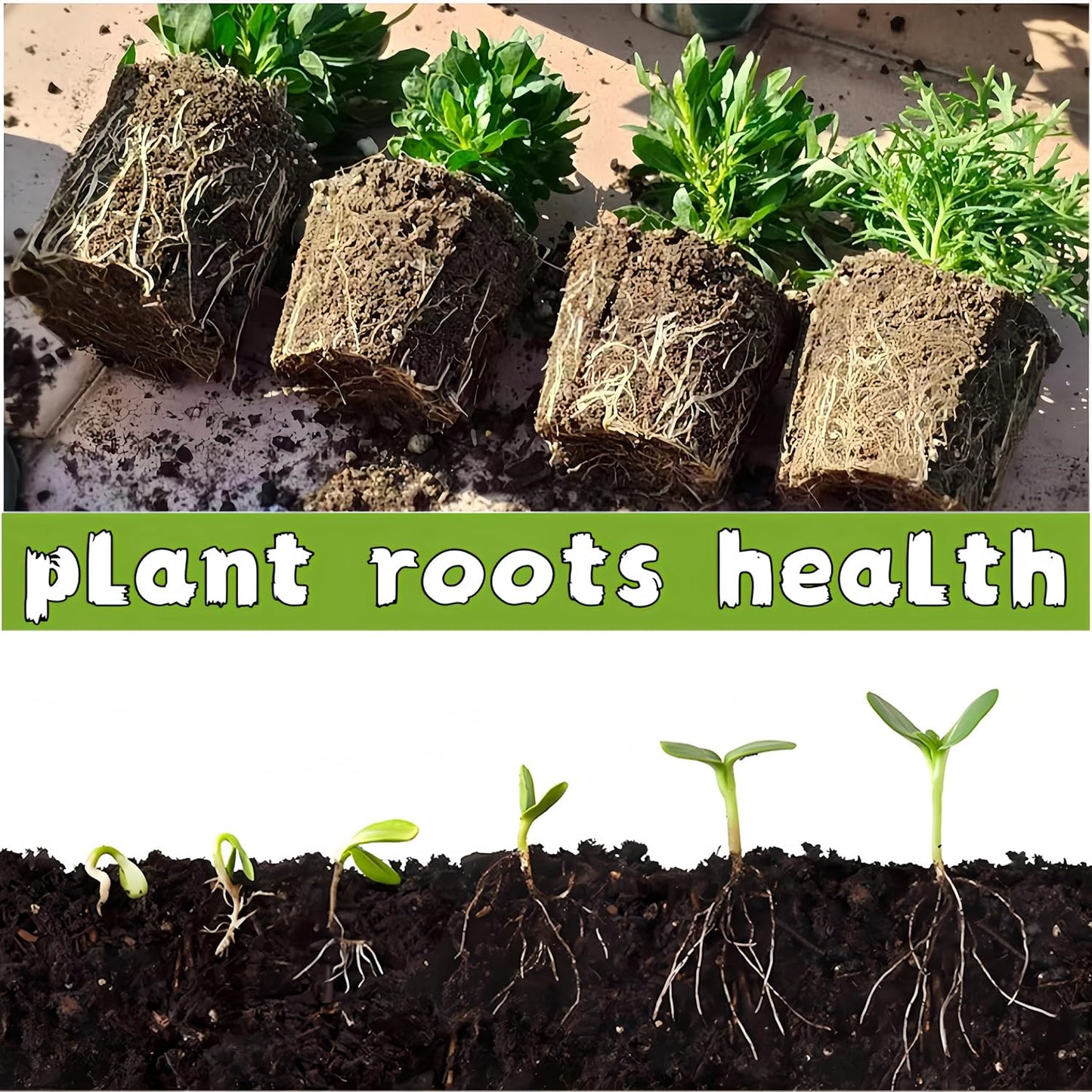 580 Cells Peat Pots Seed Starter Tray 58 Packs Biodegradable Seedling Pots Germination Trays Peat Pot for Seedling Organic Seed Starting Trays kit with 58 Labels 2 Transplant Tools