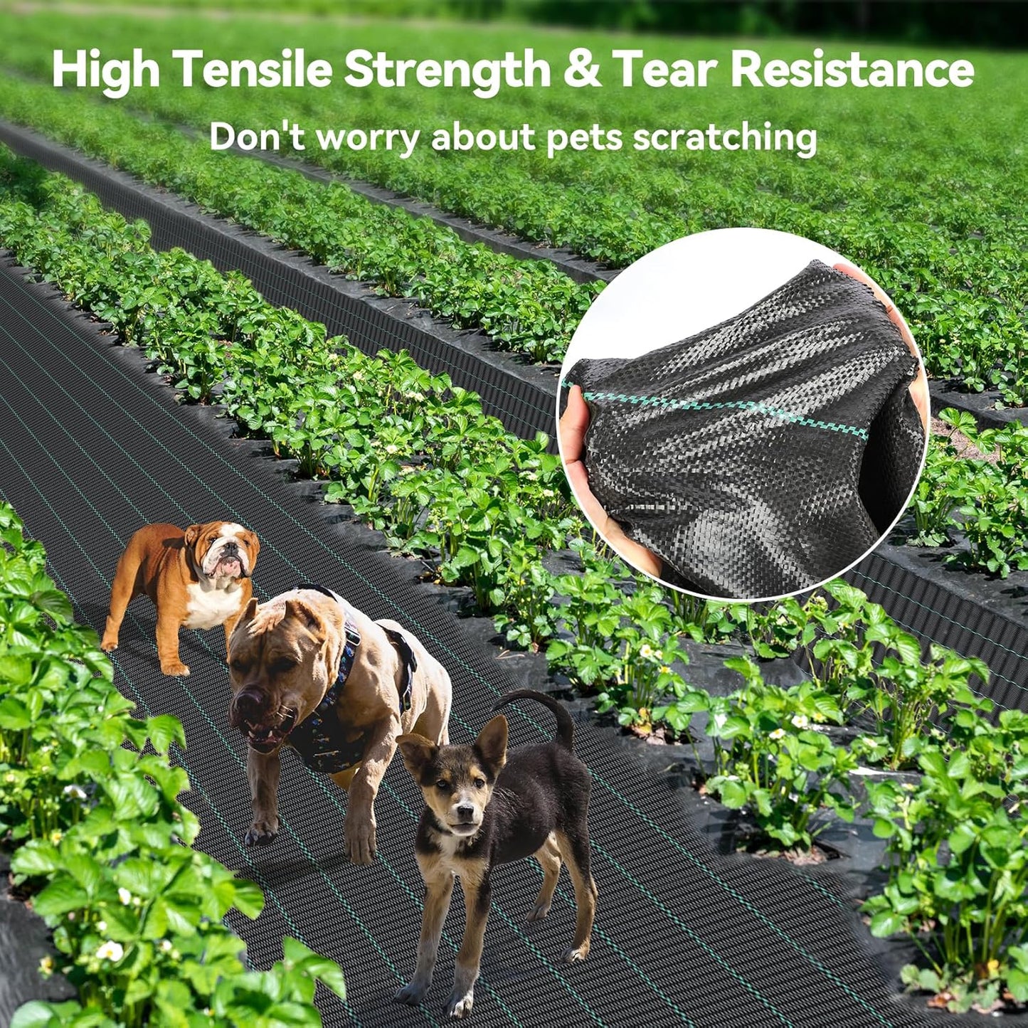 6ftx300ft Weed Barrier Landscape 3.2oz Fabric Heavy Duty, Woven Weed Control Cloth, Woven Geotextile Fabric for Underlayment, Gardening Ground, Commercial Driveway Weed Block Cover Mat