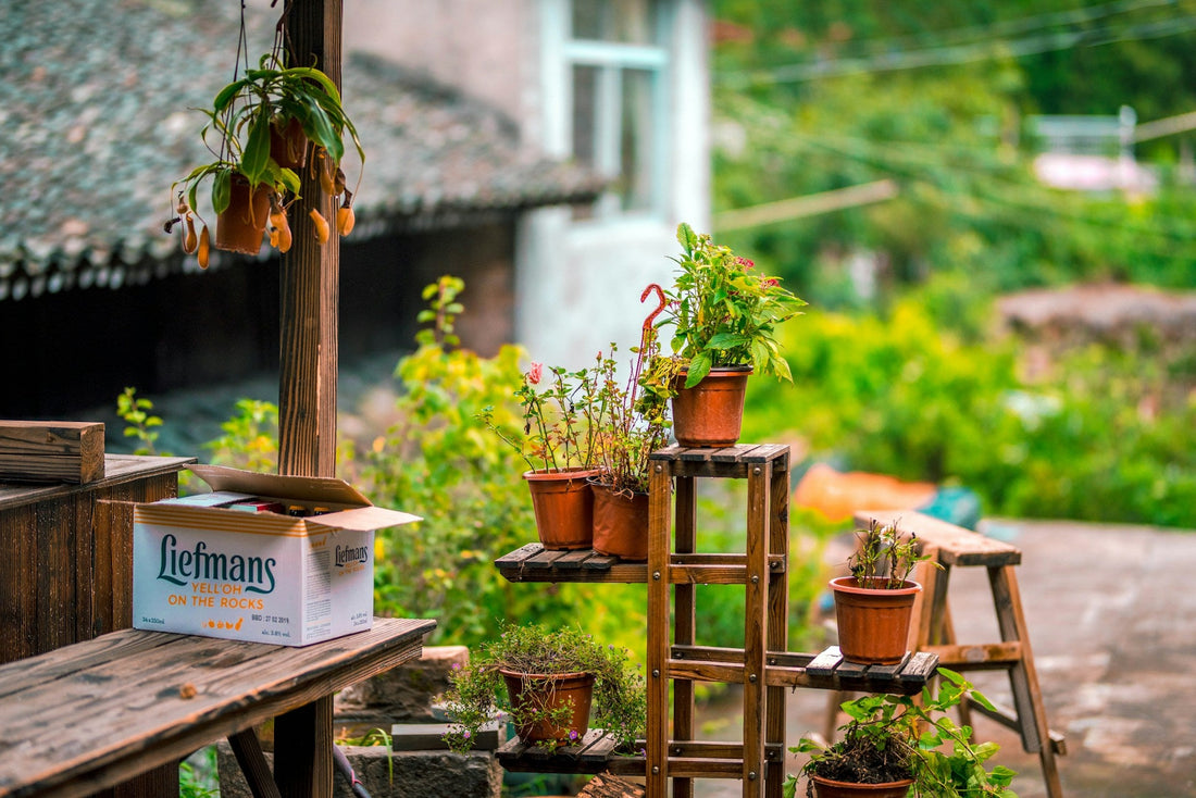 How to Start an Eco-Friendly Garden at Home: The FreshLeaf Guide