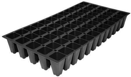 Evergreen Giant Liriope Muscari - 30 Live Plants - Drought Tolerant Low Maintenance Evergreen Groundcover Grass