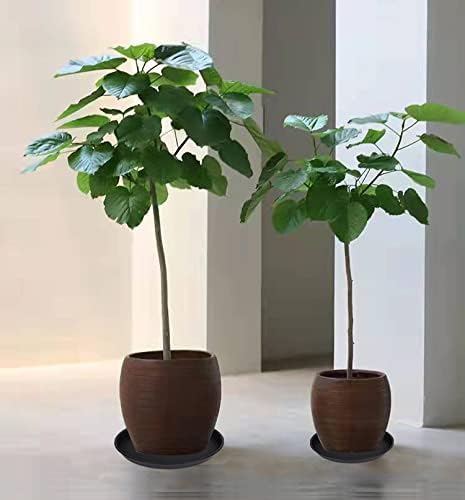 6 Pack of 12 inch Plant Saucer, Heavy Duty Plastic Plant Saucer 12 inch Round, Plant Tray for Pots, Flower Saucers for Indoors, Garden Plate Bowls, Trays for Planter 10"/11"/12" (Black)