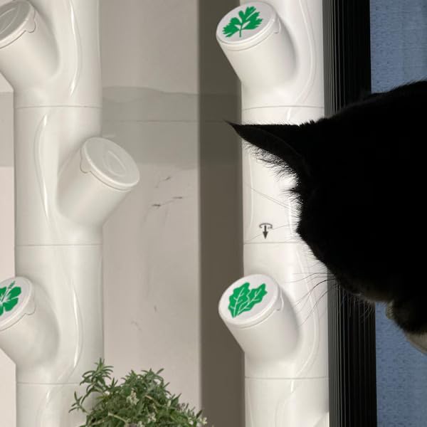 Grow Cubes for Hydroponic System/Compatible with Gardyn (10 Grow Cubes / 10 Mix caps)