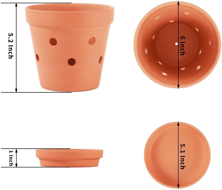 Fcacti 6 Inch Terracotta Orchid Pots with Drainage Holes and Saucers - 6 Pack Small Clay Orchid Planter Pots for Repotting, Plant Flower Pots for Orchid Indoor/Outdoor Promotes Air Circulation