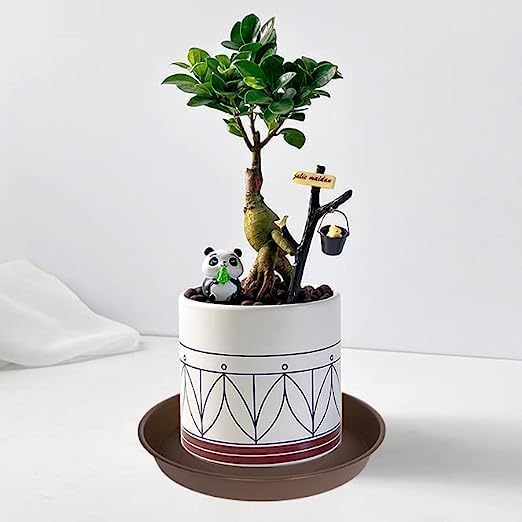 6 Pack Plant Saucer 4 5 inch (4 inch Base), Heavy Sturdy Plant Drainage Tray for Indoors (5 inch, Chocolate)