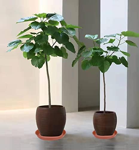 6 Pack of 10 inch Plant Saucer, Heavy Duty Plastic Plant Saucer 10" Round, Plant Tray for Pots, Plant Saucers for Indoors, Plant Trays for Planter 8"/9"/10" (10 inch, Terracotta)
