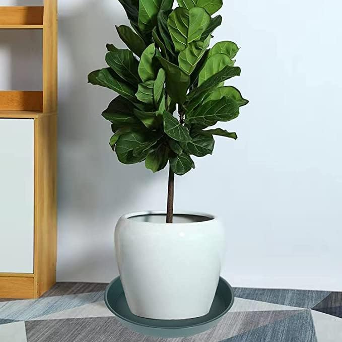 2 Pack of Bird Bath Bowl 19", 2.3" Depth, 18 19 inch Plant Tray Saucer, Plastic Birdbath Bowls Only, Birdbath Dish for The Garden, Large Plant Saucer (19", Green)