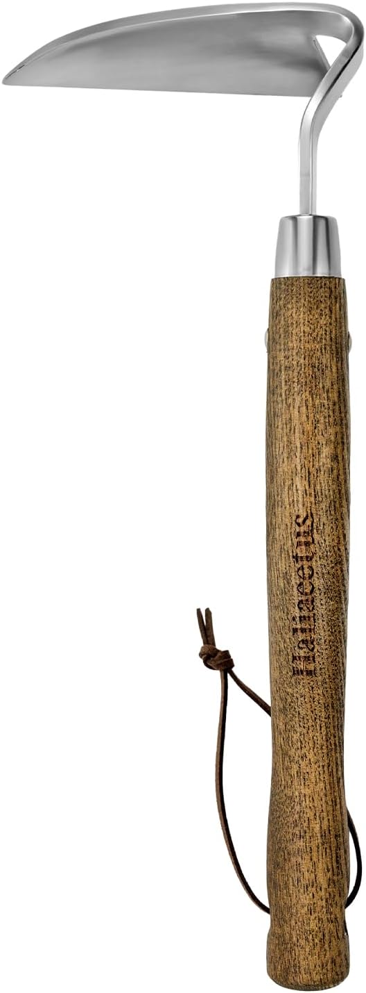 Haliaeetus Gardening Sickle Hoe, Japanese Bent Angle Weeding Sickle, Stainless Steel Weed Hoe Scraper, 13'' Gardening Hand Hoe with Ergonomic Wood Handle for Weeding, Loosening Soil and Cultivating
