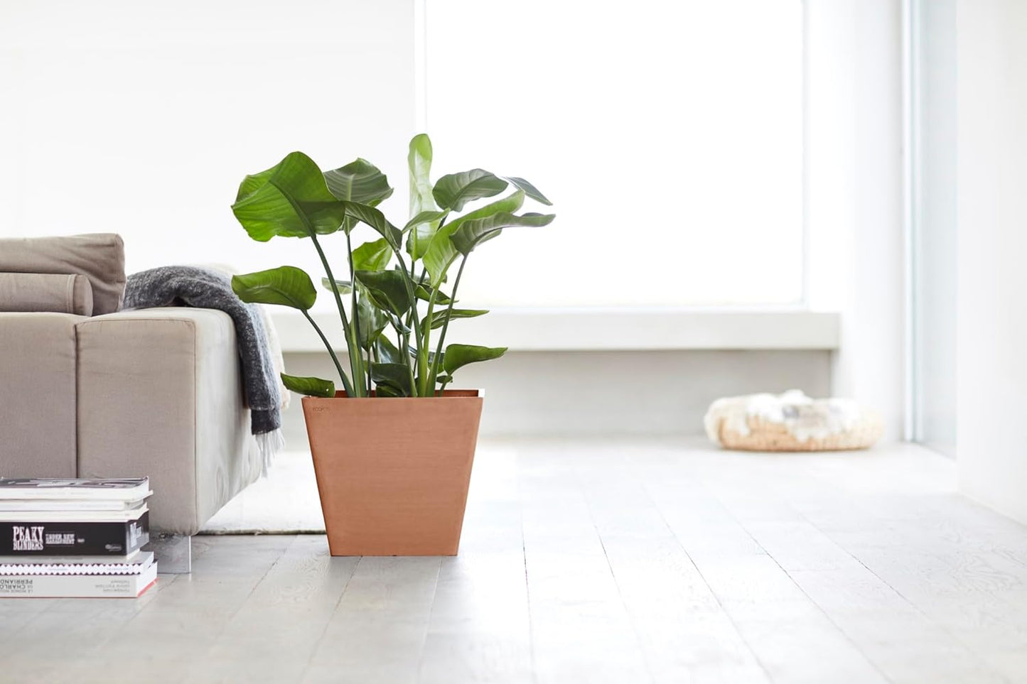 Ecopots Rotterdam Durable Modern Square Indoor/Outdoor Recycled-Based Composite Flower Planter, Terracotta Color, 15.75"