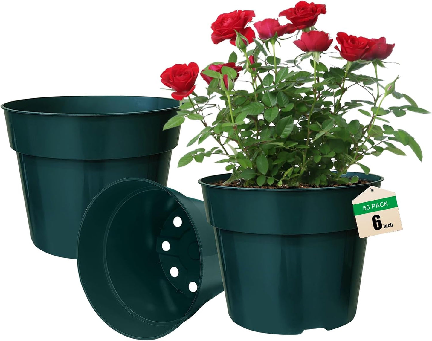 50 Pack 6 Inch Nursery Pots, Planting Grow Plastic Flower Pots, Thick Planters with Drainage Holes for Outdoor/Indoor Plants Succulent Herb (Green)