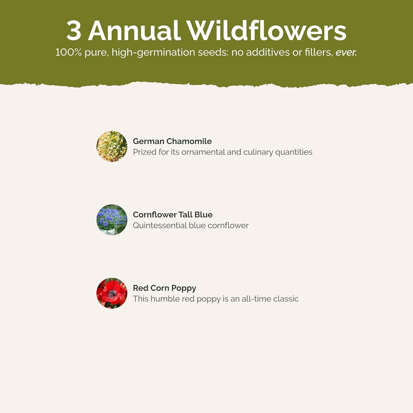 Eden Brothers Field of Dreams Flower Mixed Seeds for Planting, 1 lb, 480,000+ Seeds with German Chamomile, Cornflower | Attracts Pollinators, Plant in Spring or Fall, Zones 3, 4, 5, 6, 7, 8, 9, 10