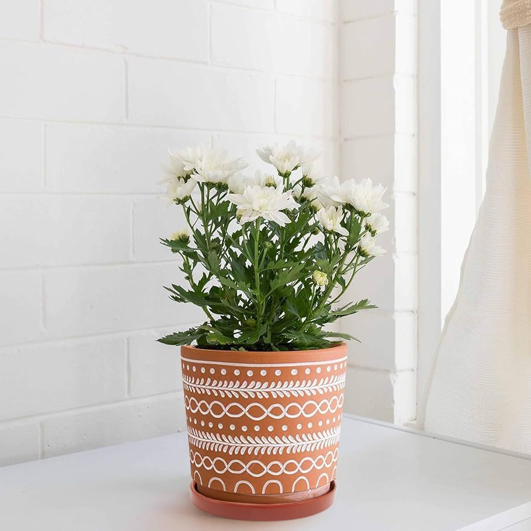 2 Pack Ceramic Plant Saucer Pot Tray 6 Inch Terracotta, Planter Saucers 6 7 8 9 10 11 12 15 Inch, Durable Sturdy Flower Drainage drip Water Tray for Glazed Pots Base (6.4 Inch- Red Terracotta)