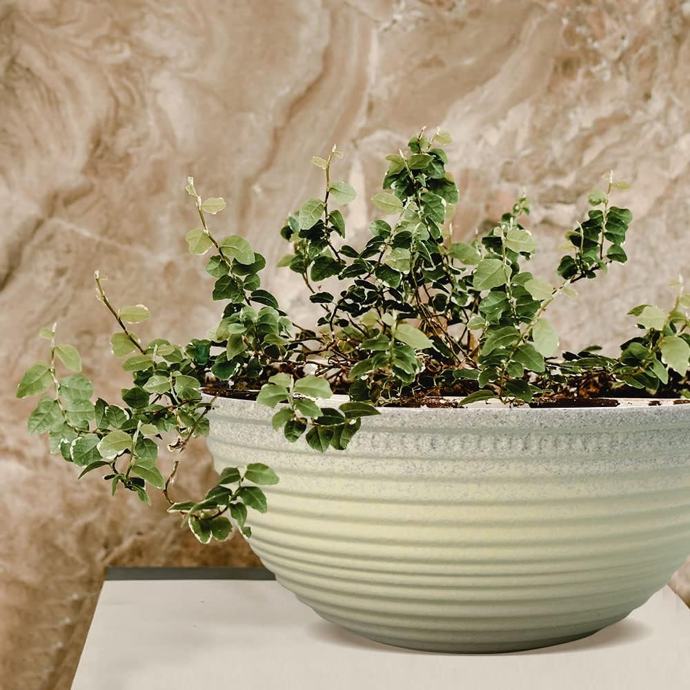 2 Pack 10 Inch Plant Pots,Durable Decorative Flower Pots Planters with Drainage Hole for Indoor and Outdoor Plants,Flowers,Succulents, White